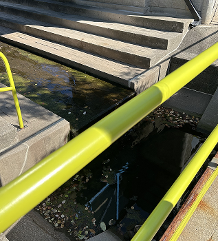 One of my locations from the Spatial Workshop 1, a stream of flowing water.