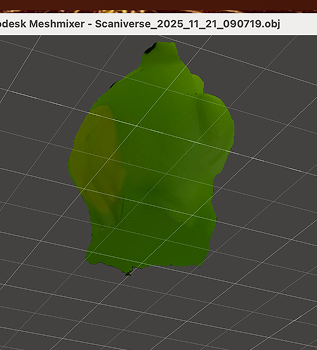 An angle of the patched scan in Meshmixer.